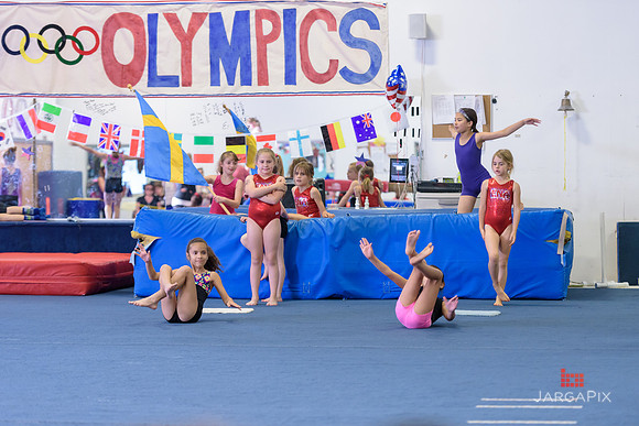 ENA_Gymnastics_Olympics_2016-025