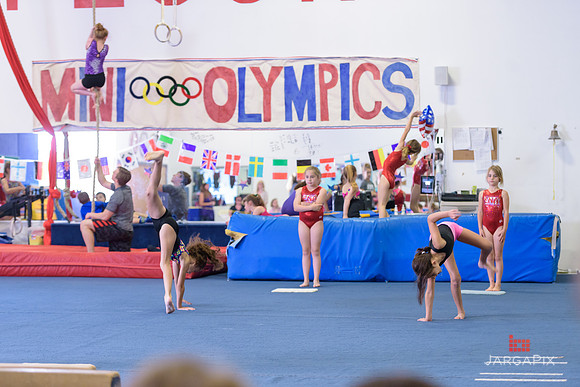 ENA_Gymnastics_Olympics_2016-052