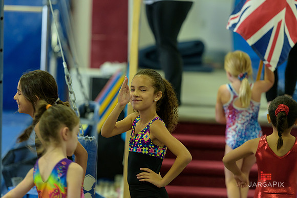 ENA_Gymnastics_Olympics_2016-018