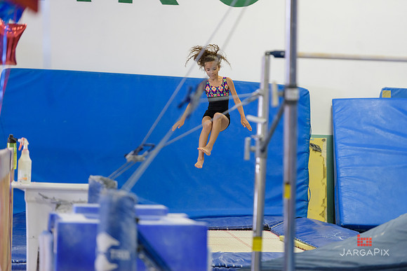 ENA_Gymnastics_Olympics_2016-009