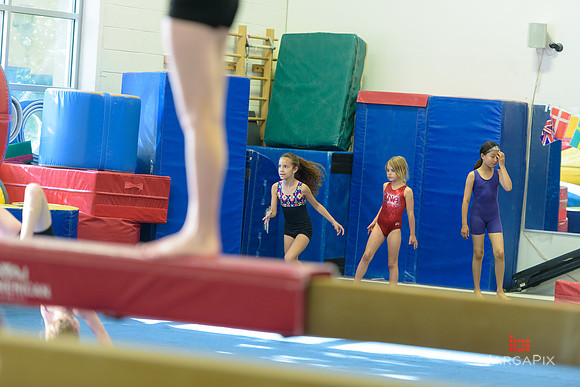 ENA_Gymnastics_Olympics_2016-064