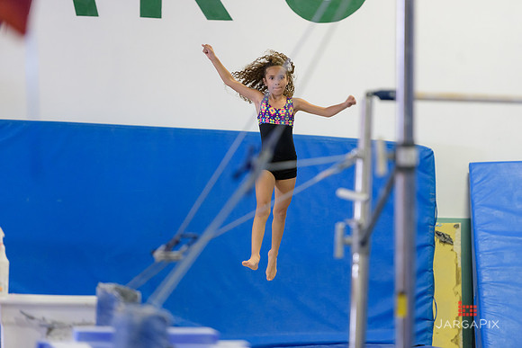 ENA_Gymnastics_Olympics_2016-007