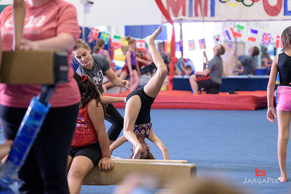 ENA_Gymnastics_Olympics_2016-045