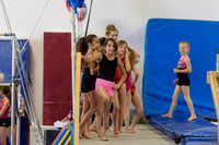 ENA_Gymnastics_Olympics_2016-013