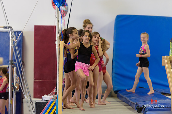 ENA_Gymnastics_Olympics_2016-013
