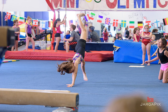 ENA_Gymnastics_Olympics_2016-034
