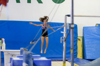 ENA_Gymnastics_Olympics_2016-006