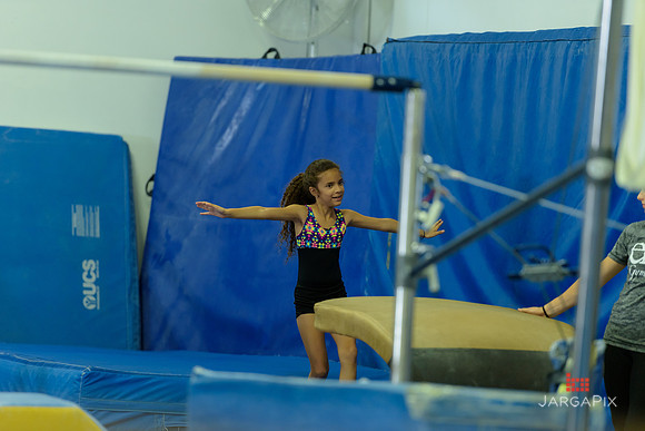 ENA_Gymnastics_Olympics_2016-116