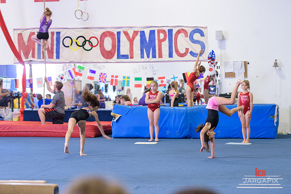 ENA_Gymnastics_Olympics_2016-051