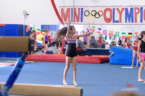 ENA_Gymnastics_Olympics_2016-038