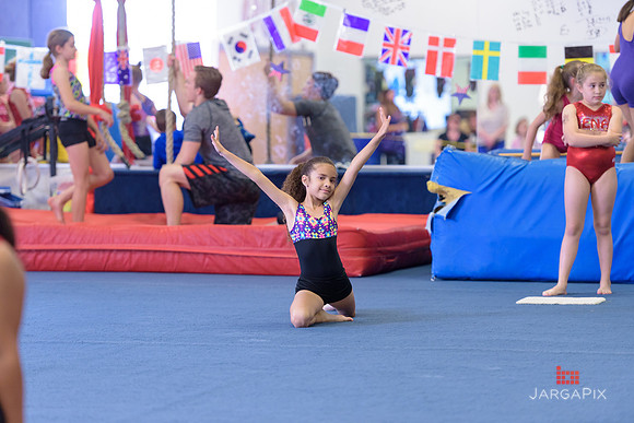 ENA_Gymnastics_Olympics_2016-054