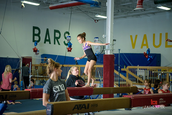 ENA_Gymnastics_Olympics_2016-088