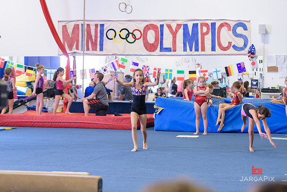 ENA_Gymnastics_Olympics_2016-031