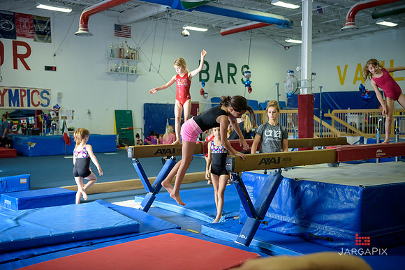 ENA_Gymnastics_Olympics_2016-101