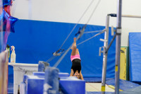 ENA_Gymnastics_Olympics_2016-014