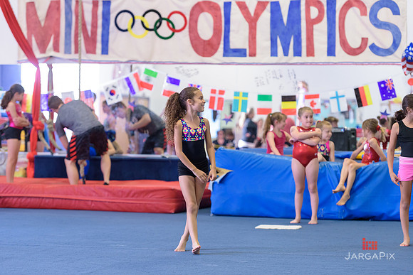 ENA_Gymnastics_Olympics_2016-030