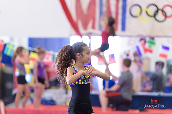 ENA_Gymnastics_Olympics_2016-039