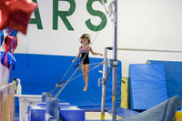 ENA_Gymnastics_Olympics_2016-008