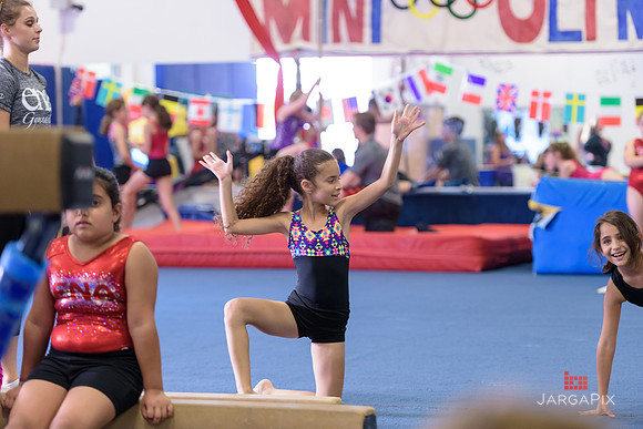 ENA_Gymnastics_Olympics_2016-050