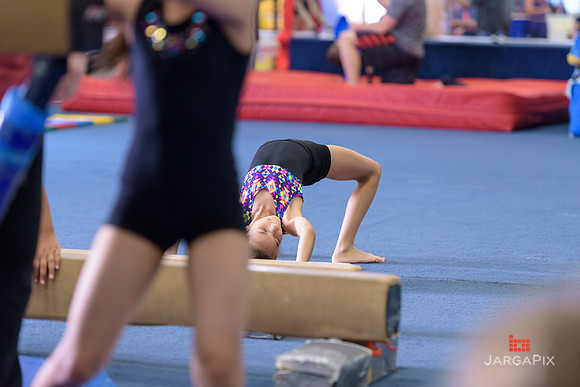 ENA_Gymnastics_Olympics_2016-040