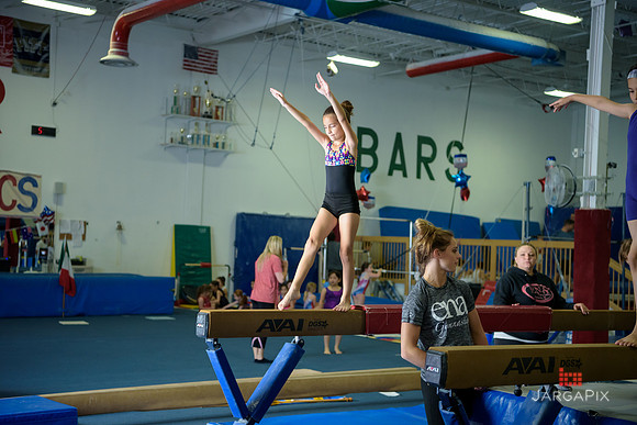 ENA_Gymnastics_Olympics_2016-090