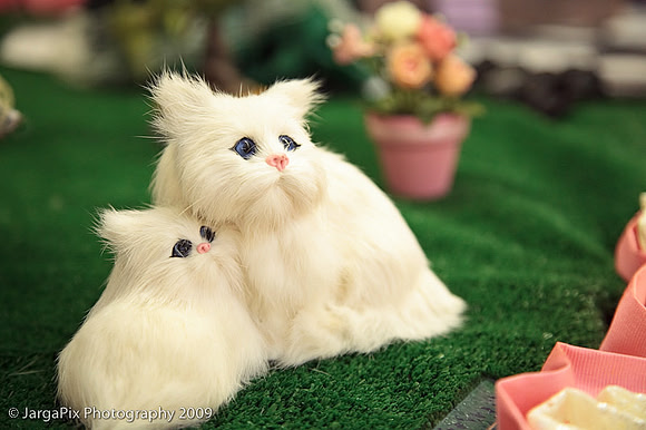 DreamWorld_Parties_PorceleinDolls-031.jpg
