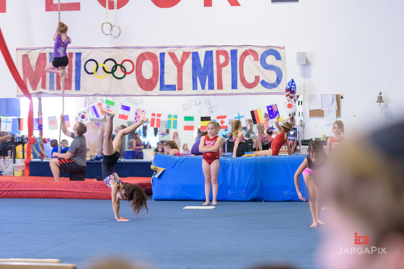 ENA_Gymnastics_Olympics_2016-053