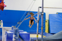 ENA_Gymnastics_Olympics_2016-010