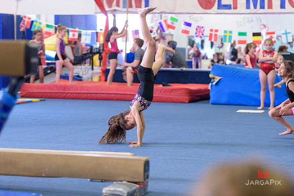 ENA_Gymnastics_Olympics_2016-035