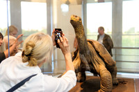 Galapagos_Conservatory_Lonesome_George_Preview-012