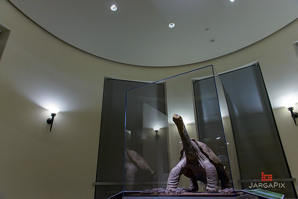 Galapagos_Conservatory_Lonesome_George_Preview-056