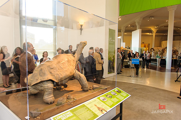 Galapagos_Conservatory_Lonesome_George_Preview-017