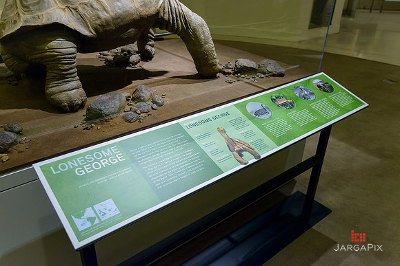 Galapagos_Conservatory_Lonesome_George_Preview-046
