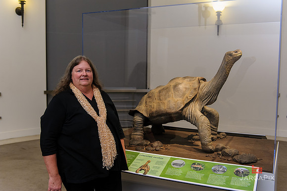 Galapagos_Conservatory_Lonesome_George_Preview-071