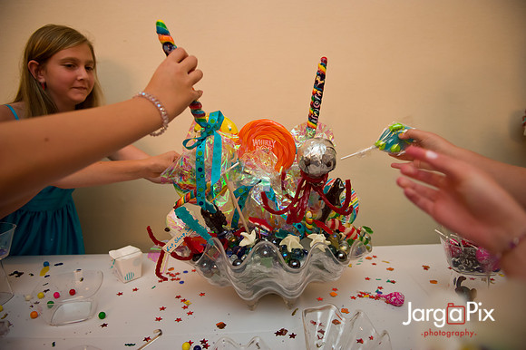 Talia_Binns_Batmitzvah-0177
