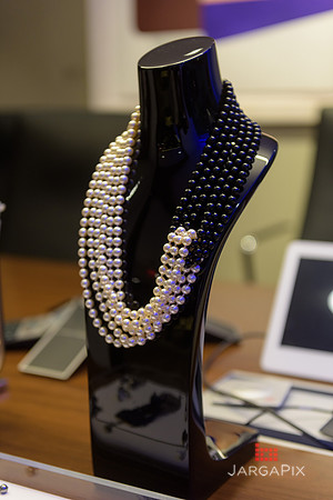Soho_Citi_StJohn_Event_10-5-2015-021