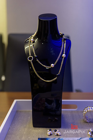 Soho_Citi_StJohn_Event_10-5-2015-020