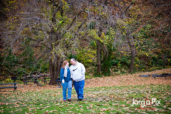 Laraine_Paul_Engagement-009