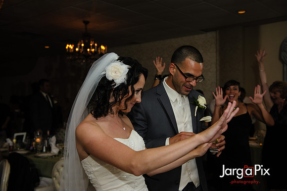 Chris_Stephanie_Messina_Wedding-1482