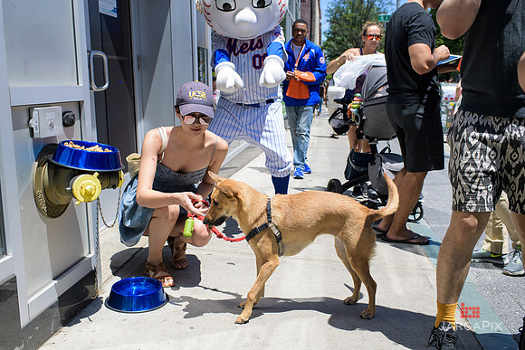 Soho_Exp_Citi_Willimasburg_Street_Fair_6-16-2018-098