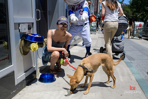 Soho_Exp_Citi_Willimasburg_Street_Fair_6-16-2018-099