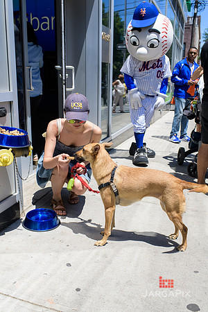 Soho_Exp_Citi_Willimasburg_Street_Fair_6-16-2018-097