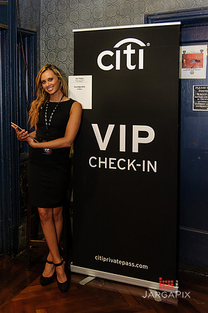 Soho_Exp_Citi_Soundgarden20_Webster_Hall-006