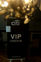 Soho_Exp_Citi_Soundgarden20_Webster_Hall-005