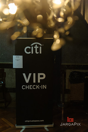 Soho_Exp_Citi_Soundgarden20_Webster_Hall-005