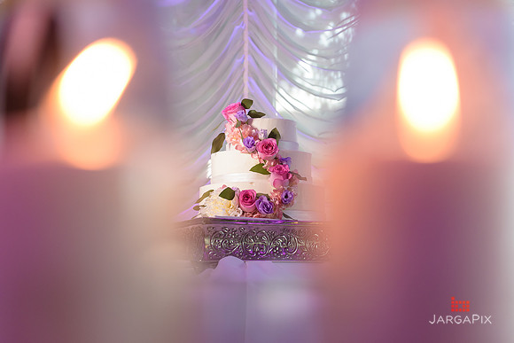 Andrea_Matt_Wedding_Preview-087