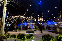 Temple_Alumni_Tyler_School_Tavern_on_the_Green-003