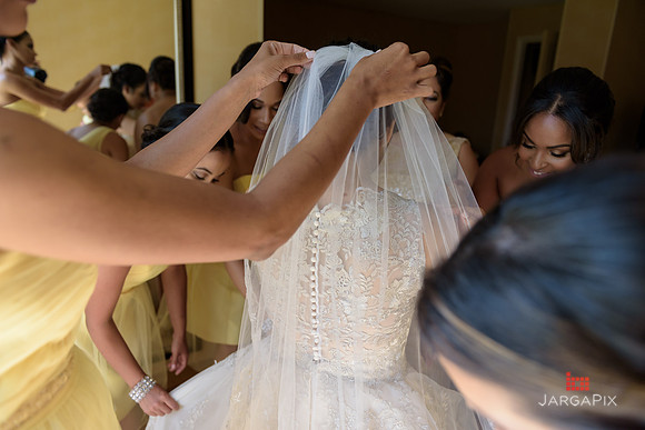 A_Celebs_Wedding_8-28-2016-0142