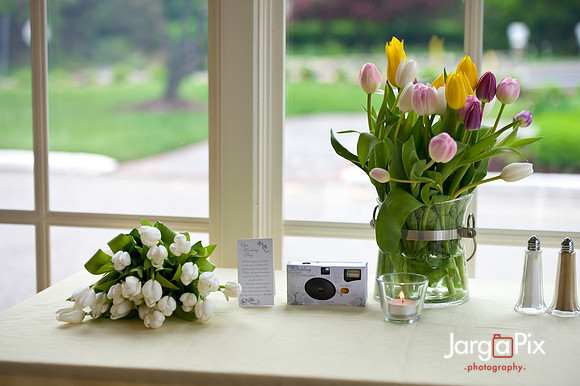 Laraine_Paul_Voitlander_Wedding_2011-365