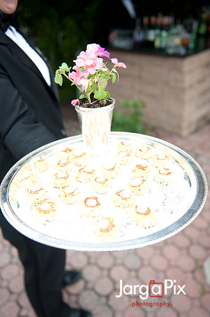 Laraine_Paul_Voitlander_Wedding_2011-351